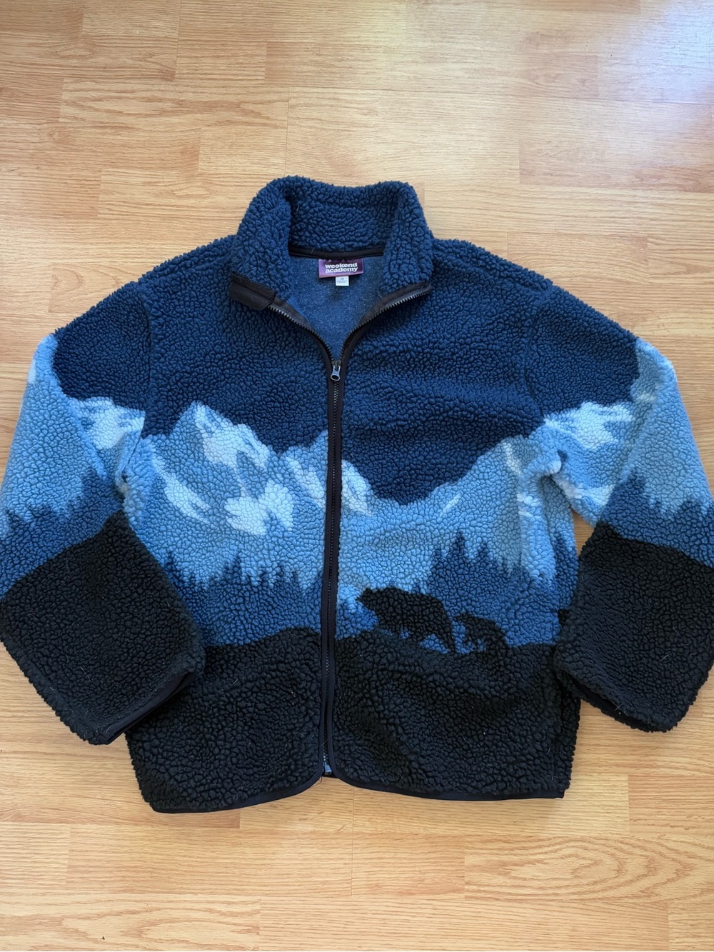 Weekend Academy Boys Mountain Bear Fleece Jacket XXL 18 Blue Full Zip